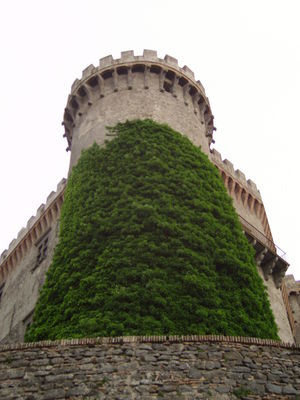 Premi per vedere l'immagine alla massima grandezza