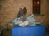 DSCN3442.JPG