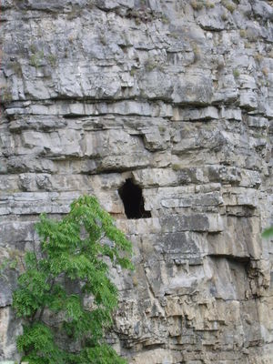 Premi per vedere l'immagine alla massima grandezza