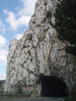 Premi per vedere l'immagine alla massima grandezza