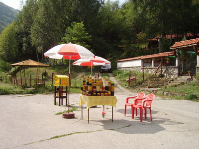 Premi per vedere l'immagine alla massima grandezza