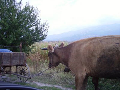 Premi per vedere l'immagine alla massima grandezza