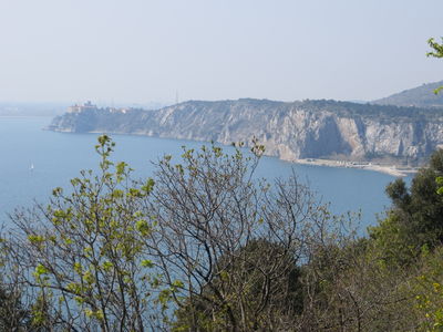 Premi per vedere l'immagine alla massima grandezza