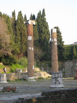 Premi per vedere l'immagine alla massima grandezza