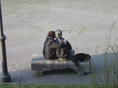 Premi per vedere l'immagine alla massima grandezza